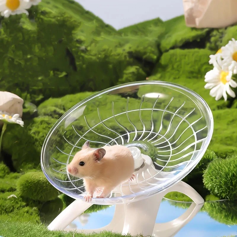 Hamster Cage Wheel - Small Pet Silent Running Practice Wheel