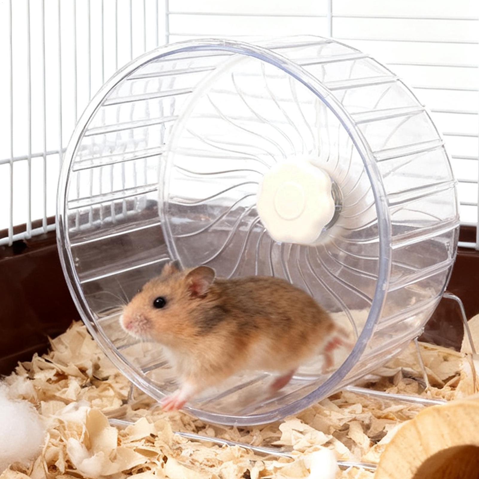 Hamster Running Sport Transpar - Hamster Cage Wheel 评论和价格