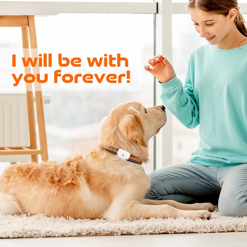 Pet GPS AGPS Tracking Device 4 - Pet Supplies Discount 评论和价格