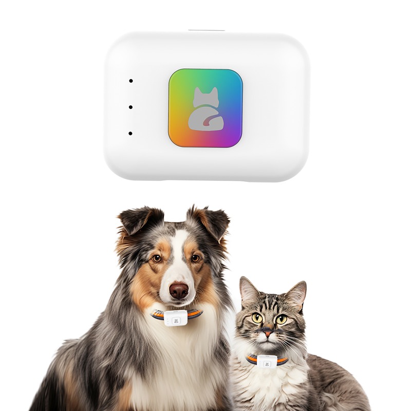 Pet GPS AGPS Tracking Device 4 - Pet Supplies Discount 评论和价格