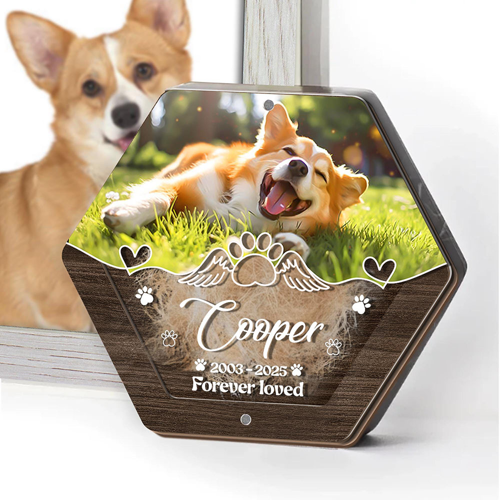 Personalized Name Wooden Carvi - Pet Supplies Discount 评论和价格