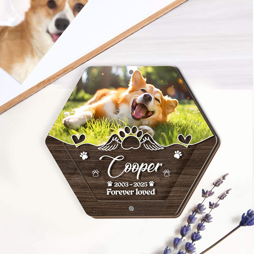 Personalized Name Wooden Carvi - Pet Supplies Discount 评论和价格