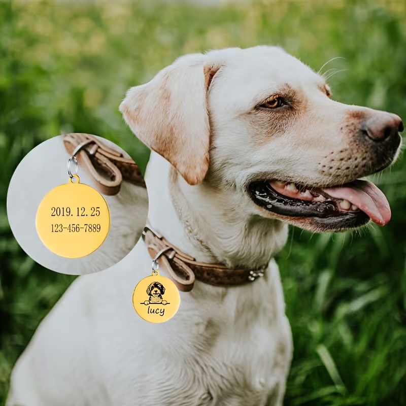 Custom Pet Name Puppy Anti-los - Pet Supplies Discount 评论和价格