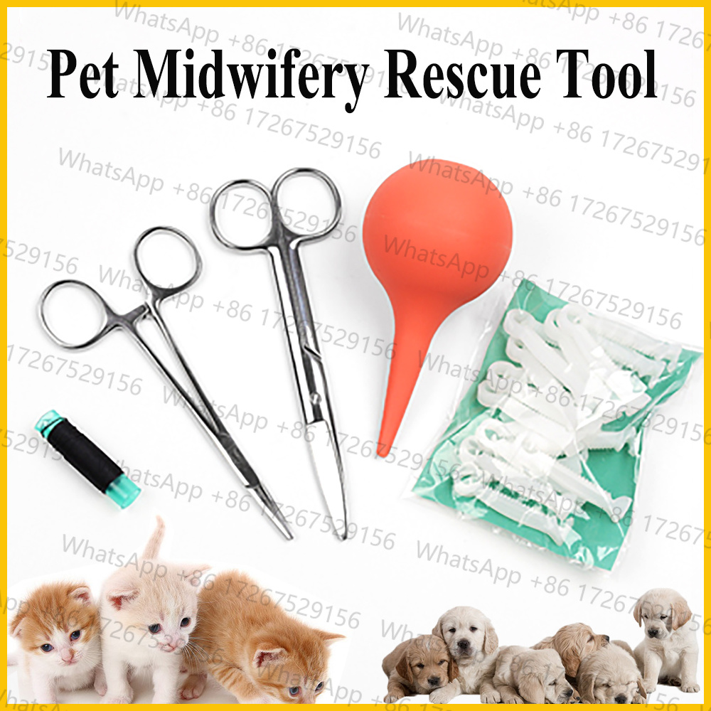 Applicable to1SET Pet Dog Cat  - Pet Supplies Application 评论和价格